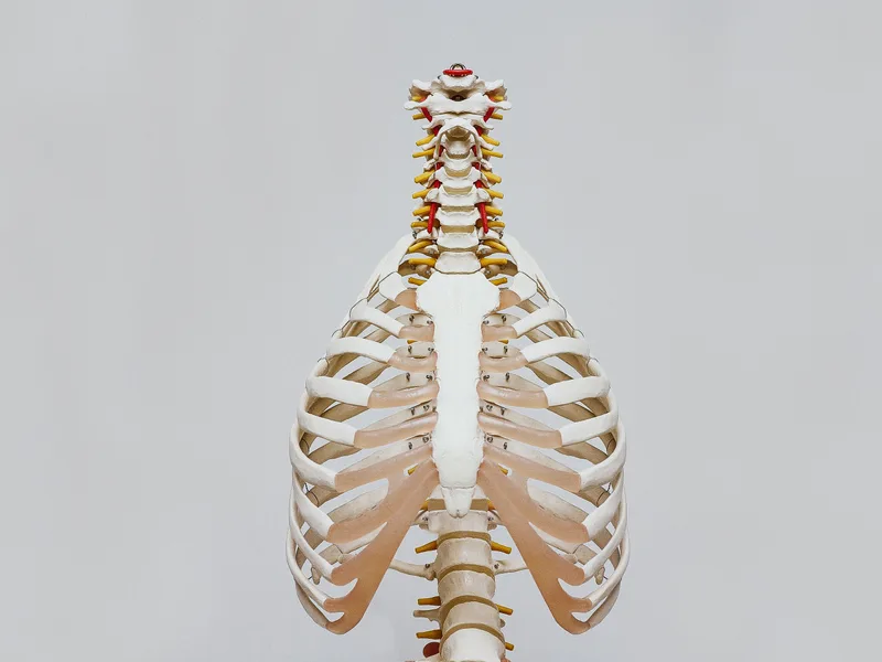 How X-Rays works at Care Natural Wellness Center